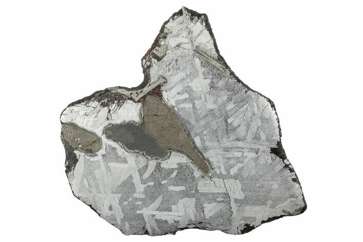 Etched Toluca Iron Meteorite ( g) Slice - Mexico #346493